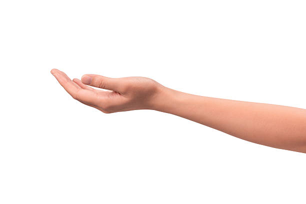 istock Close-up of a beautiful empty hand gesture isolated on a white background. 2250052981