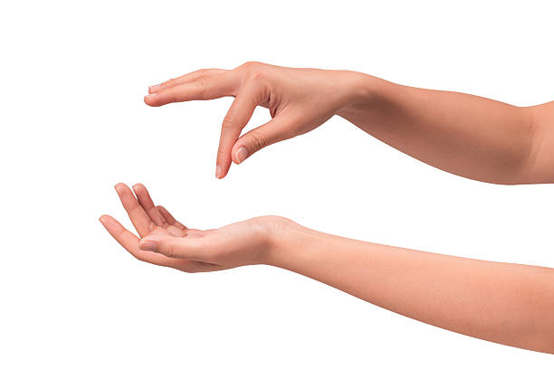 istock Close-up of beautiful empty hand gesture isolated on a white background. 2250052984