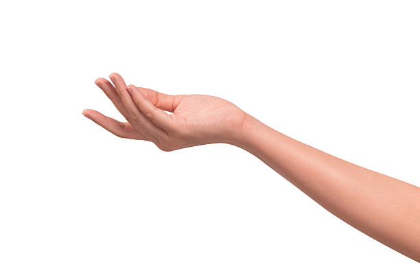 istock Close-up of a beautiful empty hand gesture isolated on a white background. 2250052986