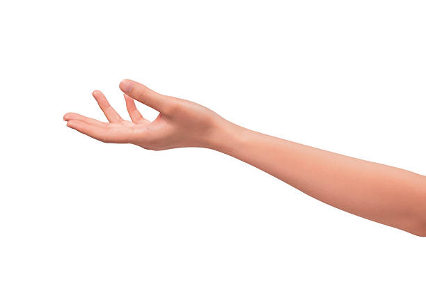 istock Close-up of a beautiful empty hand gesture isolated on a white background. 2250052987