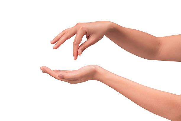 istock Close-up of beautiful empty hand gesture isolated on a white background. 2250052988