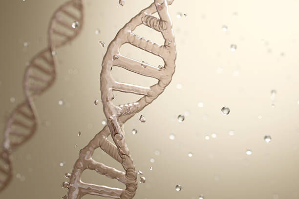 Synthetic biology background featuring a golden liquid DNA structure with bubbles and light rays, representing premium skincare innovation and science technology. 3D render.