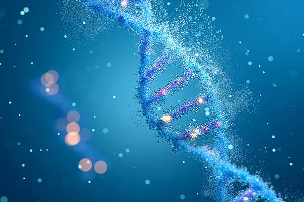 istock Abstract DNA double helix structure with blue glowing particles scattering for science concept 2250057056