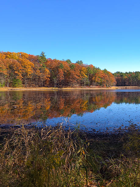 istock Calm Autumn Lake with Forest Reflections Under Clear Blue Sky 2250060740