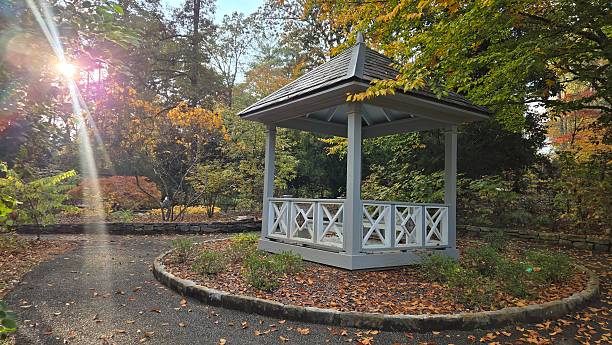 istock A Fall Walk in the Botanical Gardens 2250066240
