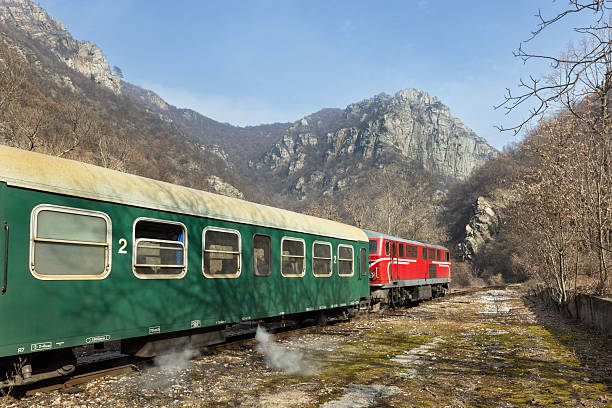 Train in large landscape.
