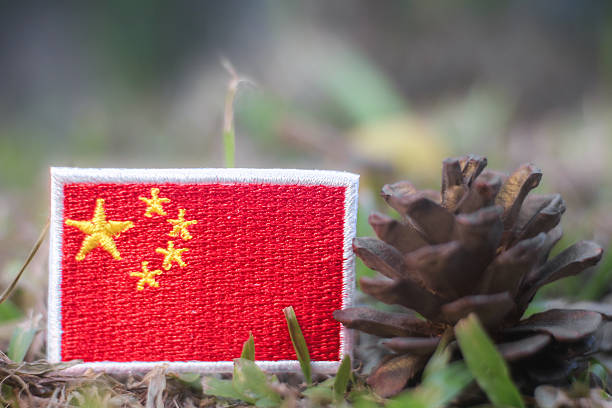 istock China flag patch with pine cone on green forest floor symbolizing reforestation efforts and national sustainability goals. 2250077054