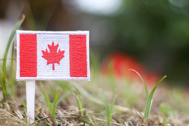An embroidered Canadian flag patch featuring the red maple leaf stands on a grassy mound positioned to the left side of the frame, leaving open space on the right for copy. The soft green background enhances themes of nature, sustainability, and Canada’s long standing environmental values. This symbolic scene reflects climate action, eco friendly development, and the country’s strong connection to its natural landscapes, making it suitable for topics related to green policy, conservation, and global environmental awareness.