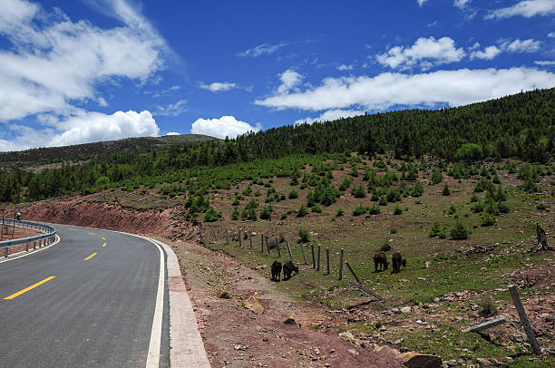 A scenic road with green hills under a clear blue sky, showing a beautiful natural landscape.