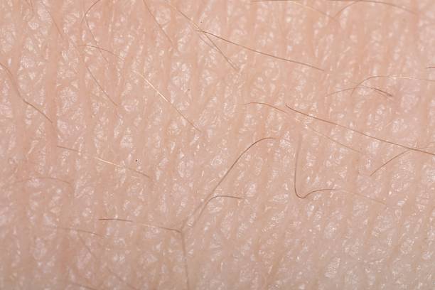 Macro view of human skin as background