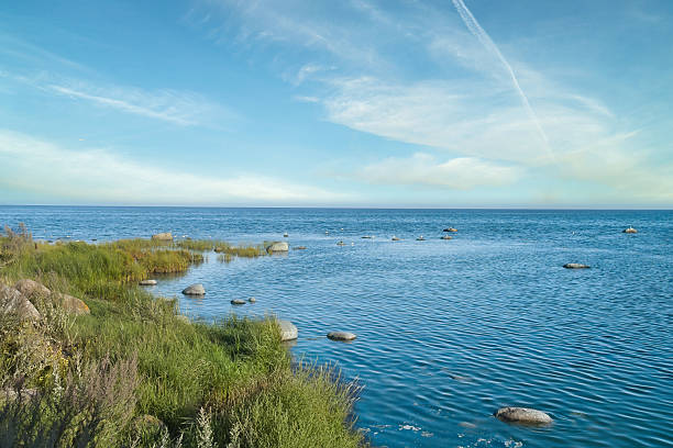 istock Coastal landscape with sea and bushes under blue sky 2250081262