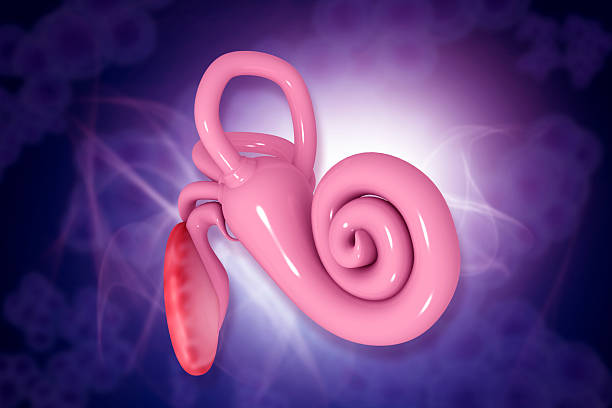 A detailed macro photograph captures the ear of a newborn baby, emphasizing the delicate curves, soft skin, and fine hair typical of infancy. The image showcases natural textures and the beauty of human anatomy in early life, conveying a sense of purity and tenderness.