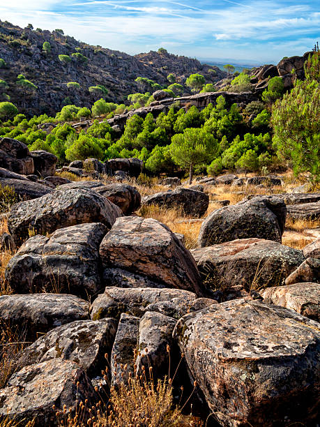istock Granito y pinos en el cerro Alcornocoso 2250084254