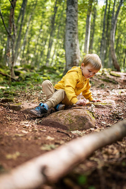 A blond toddler, dressed in relaxed hiking clothing, has fallen while walking down a mountain forest trail and is getting up by himself. Surrounded by lush green trees and sunlight filtering through the foliage, the scene captures a playful and resilient moment of childhood, outdoor exploration, and learning through independent discovery in nature.