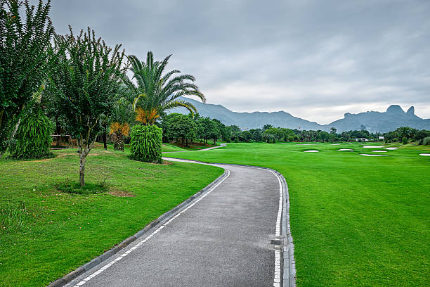 Asphalt road leading through a green park lined with palm trees and distant mountains.