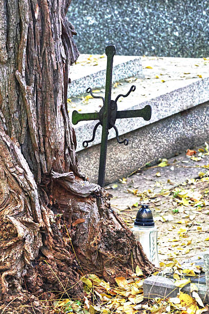 Weathered Tree, Stone Monument, and Ornate Iron Cross Detail