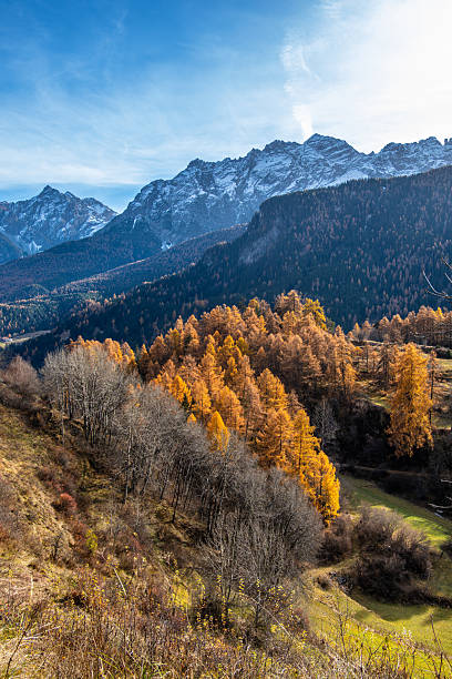 istock Autumn swiss landscape with mountains and blue sky 2250093706