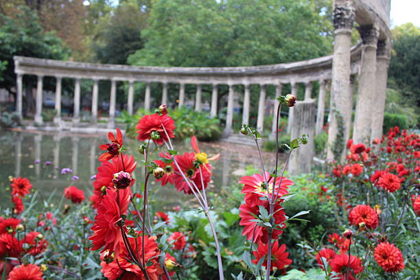 Stunning flowers and folliage in the autumn season