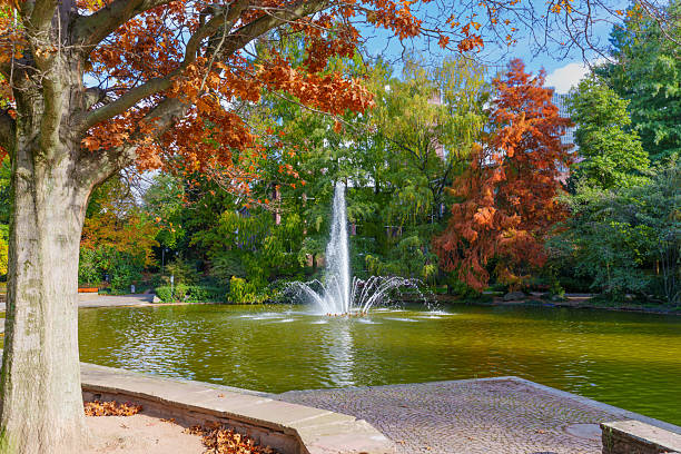 istock Frankfurt's Idyllic Park Pond Reflecting Vibrant Autumn Trees 2250100803