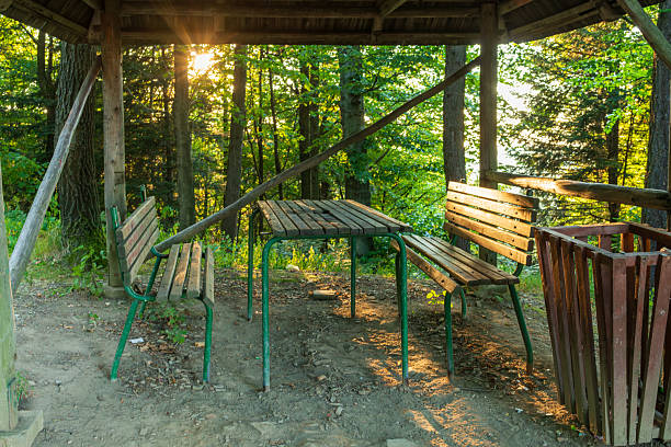 A rustic wooden shelter with benches and a table stands in a forest clearing illuminated by warm sunlight. A tranquil outdoor scene capturing nature, leisure, hiking rest areas, and peaceful woodland atmosphere.