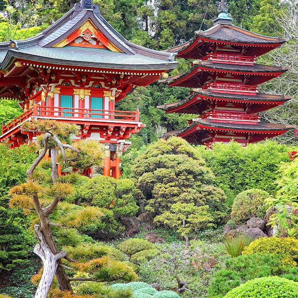 istock Japanese Garden, San Francisco 2250101962