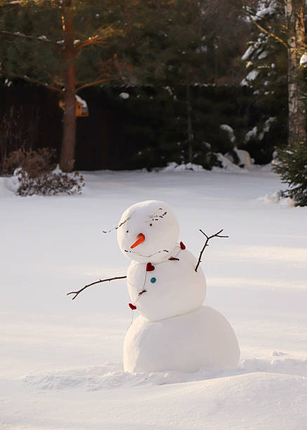 A snowman is sad because he's melting. He's bareheaded, but has a carrot-shaped nose. He's surrounded by clean, pristine white snow. In the background are trees and a dark wooden fence.