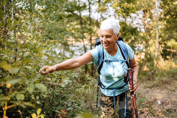 istock Cheerful senior woman picking berry fruit while hiking in forest 2250105063