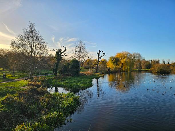 istock The image features a tranquil natural scene, likely captured during the day given the clear blue sky and bright sunlight casting long shadows on the ground. 2250105083
