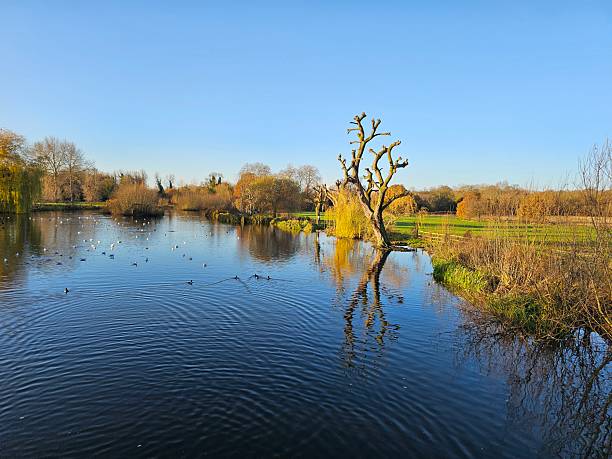 istock This image captures a serene and tranquil landscape dominated by a body of water 2250105104