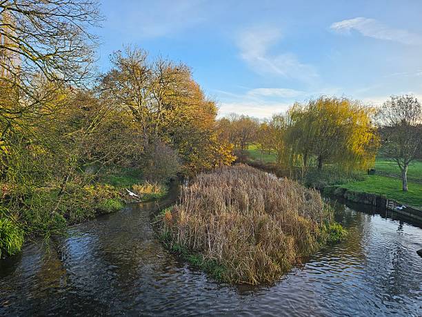 istock The image depicts a serene and picturesque natural setting 2250105121