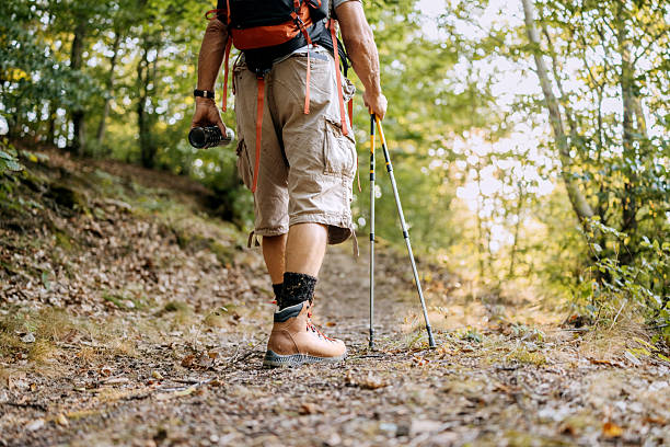 Rear view of unrecognisable senior man walking in forest