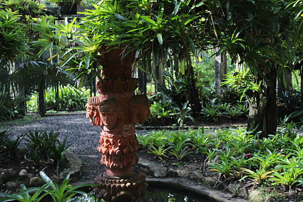 istock Botanical garden with green leaves bushes 2250109648