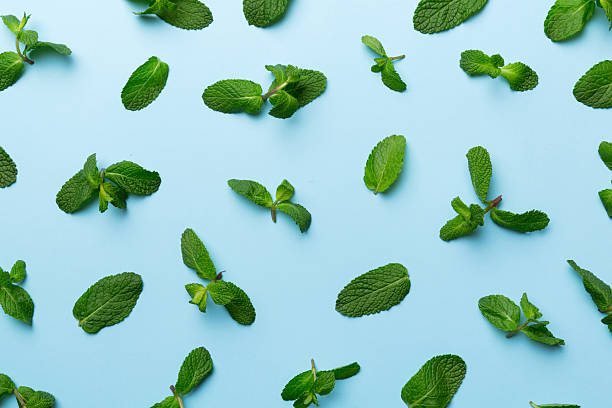 istock Fresh green mint leaves on white background, Mint leaves pattern Top view with copy space 2250114595