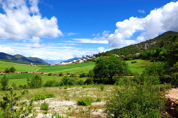 Beautiful green landscape with blue sky and white clouds