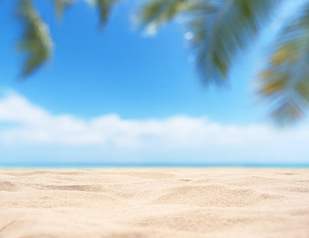 istock Empty tropical sand beach with palm leaves and sunny blue sky abstract background 2250120549