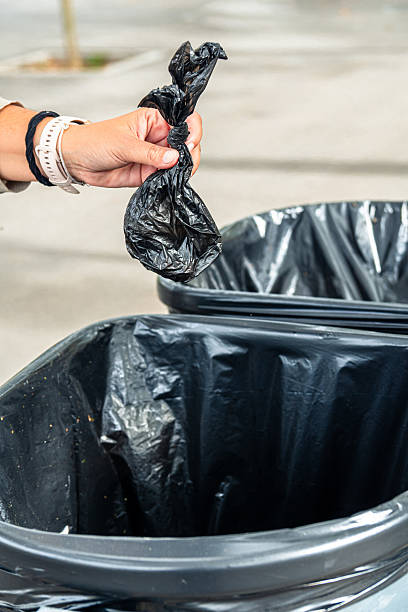 istock Pet owner disposing dog waste in trash can 2250122176