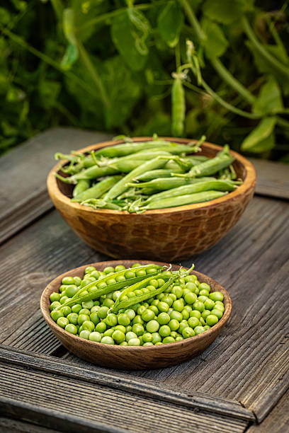 istock Fresh, ripe green peas 2250122231