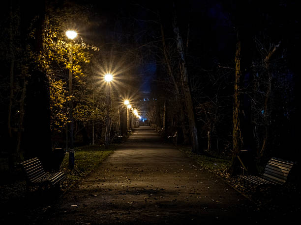 Night image in Central Park, Targu-Jiu, Romania
