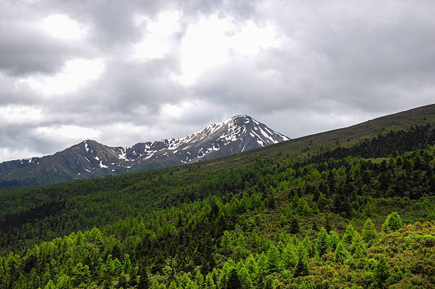 istock Mountain Range with Snowy Peaks and Lush Green Forest 2250126478