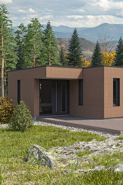 istock Modern Country Villa with Scandinavian Wood Paneling Design Elements 2250129541