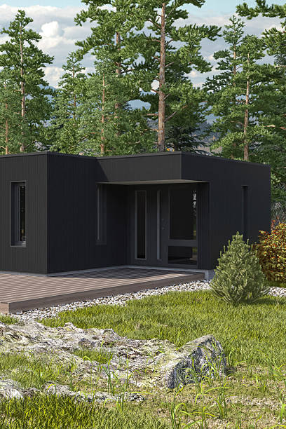 istock Scandinavian Modern Villa or Weekend House with Black Wood Paneling Facade 2250135401