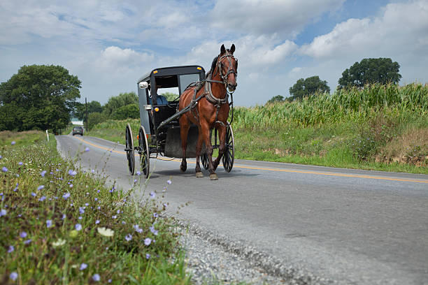 istock Amish buggy rolling down a rural road in Lancaster County Pennsylvania 2250135856