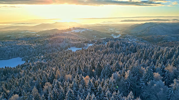 istock Sunrise over Snow-covered Evergreen Forests and Rolling Hills 2250136192