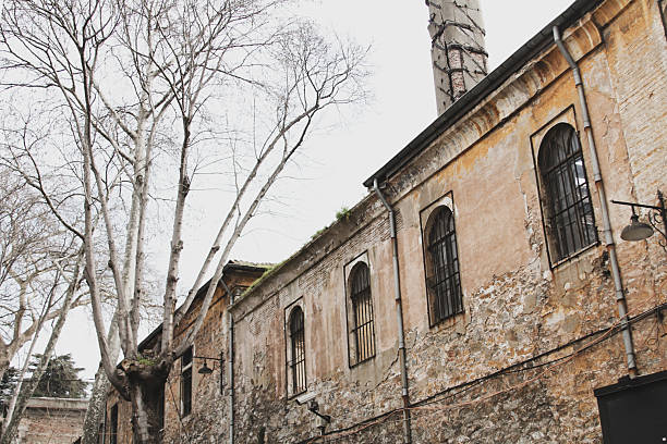 Ancient stone buildings and trees in Sultanahmet, Turkey