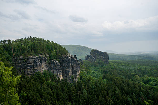 Saxon Switzerland National Park with sandstone cliffs, dense forest, winding trails, river valleys, panoramic mountain landscape, rugged terrain, outdoor scenery, natural environment and hiking routes in Germany daylight view