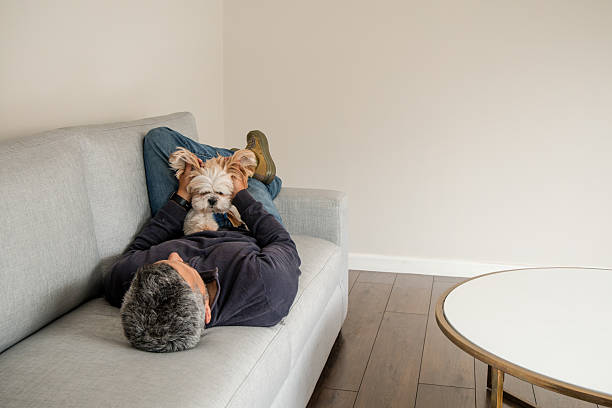 istock A man and his dog are laying on a couch 2250148741