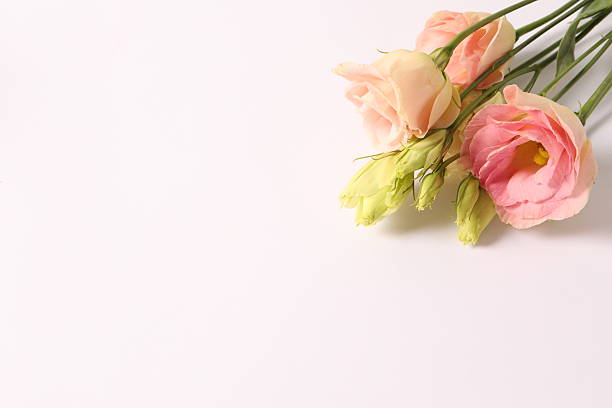 istock Beautiful bouquet of eustoma flowers on a white background 2250160736