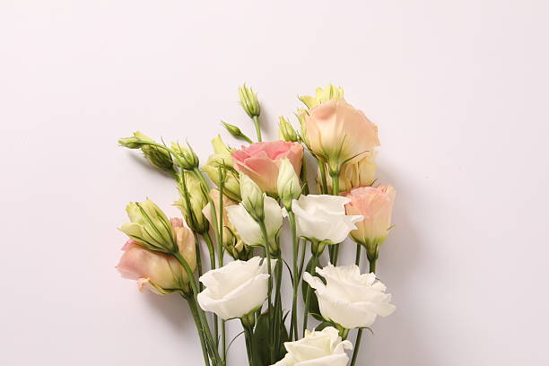 istock Bouquet of eustoma flowers on a white background 2250160809