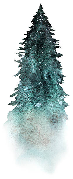 istock Hand drawn watercolor green spruce or pine tree misty forest, winter isolated illustration 2250160992
