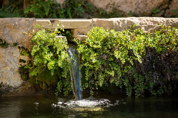 Fresh cold spring water flowing in village fountain, water trough for people and many animals
